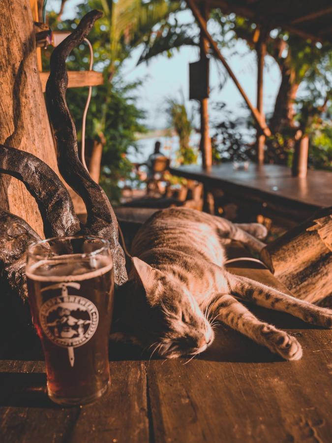 Happy Lemon Tree Lodge Sauraha Luaran gambar