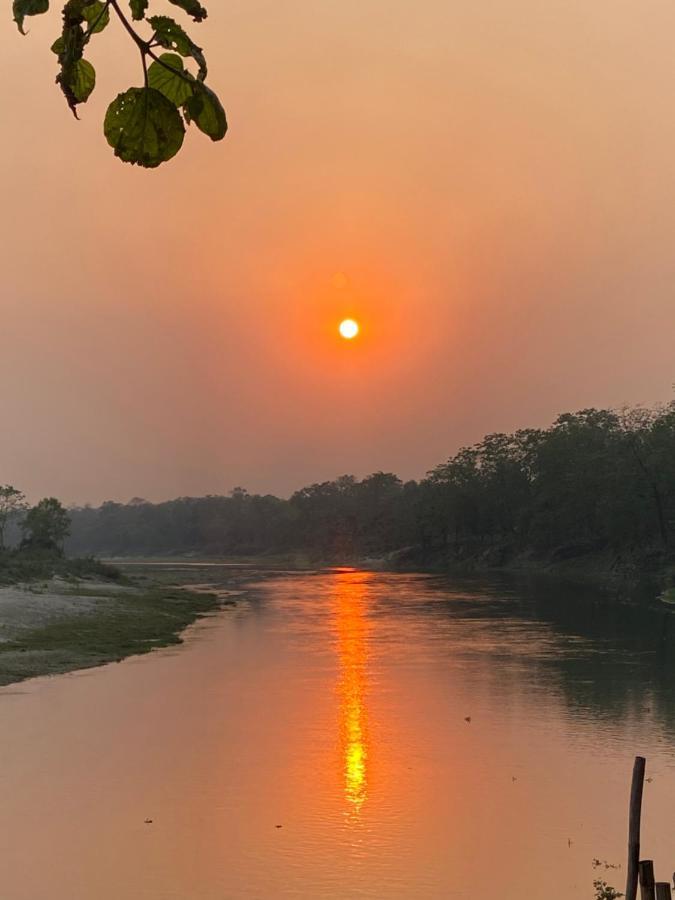 Happy Lemon Tree Lodge Sauraha Luaran gambar