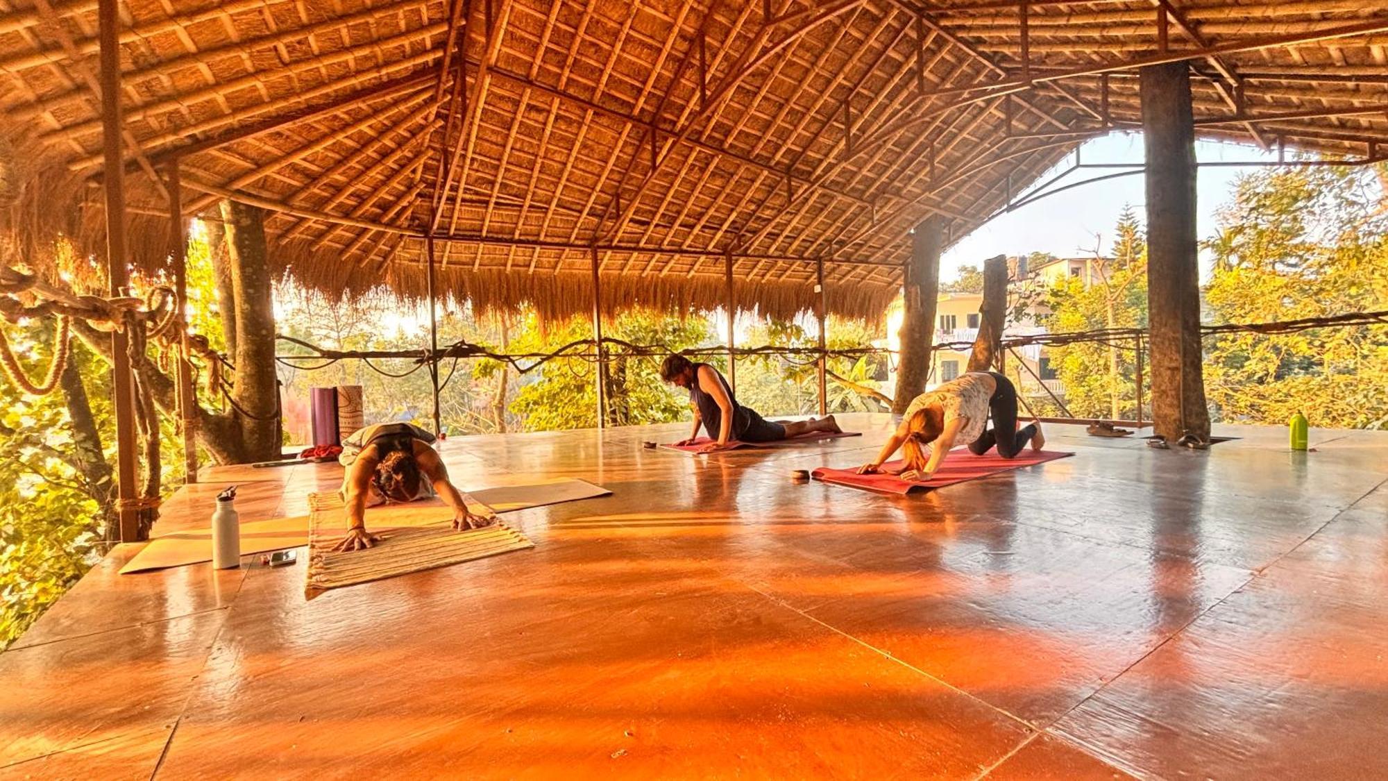 Happy Lemon Tree Lodge Sauraha Luaran gambar