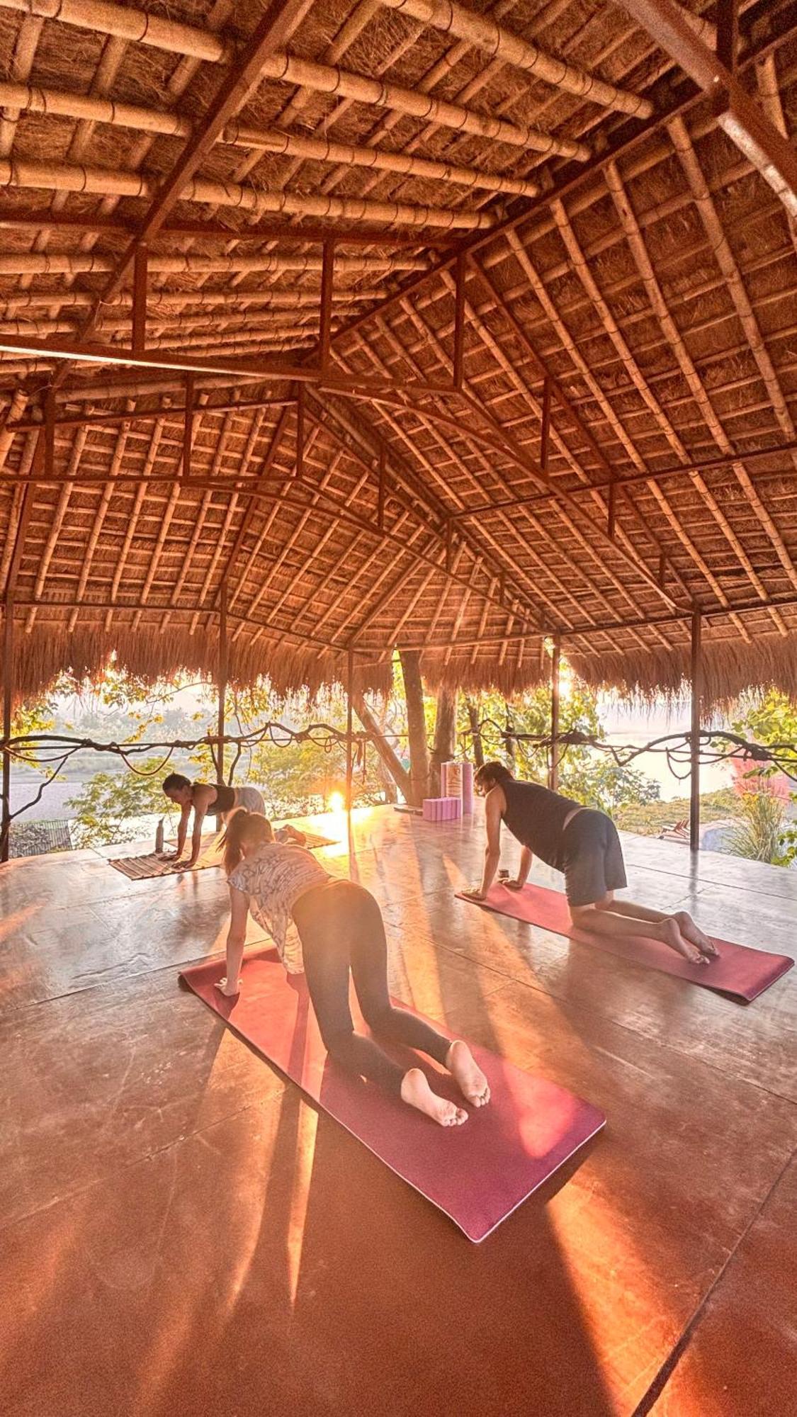Happy Lemon Tree Lodge Sauraha Luaran gambar