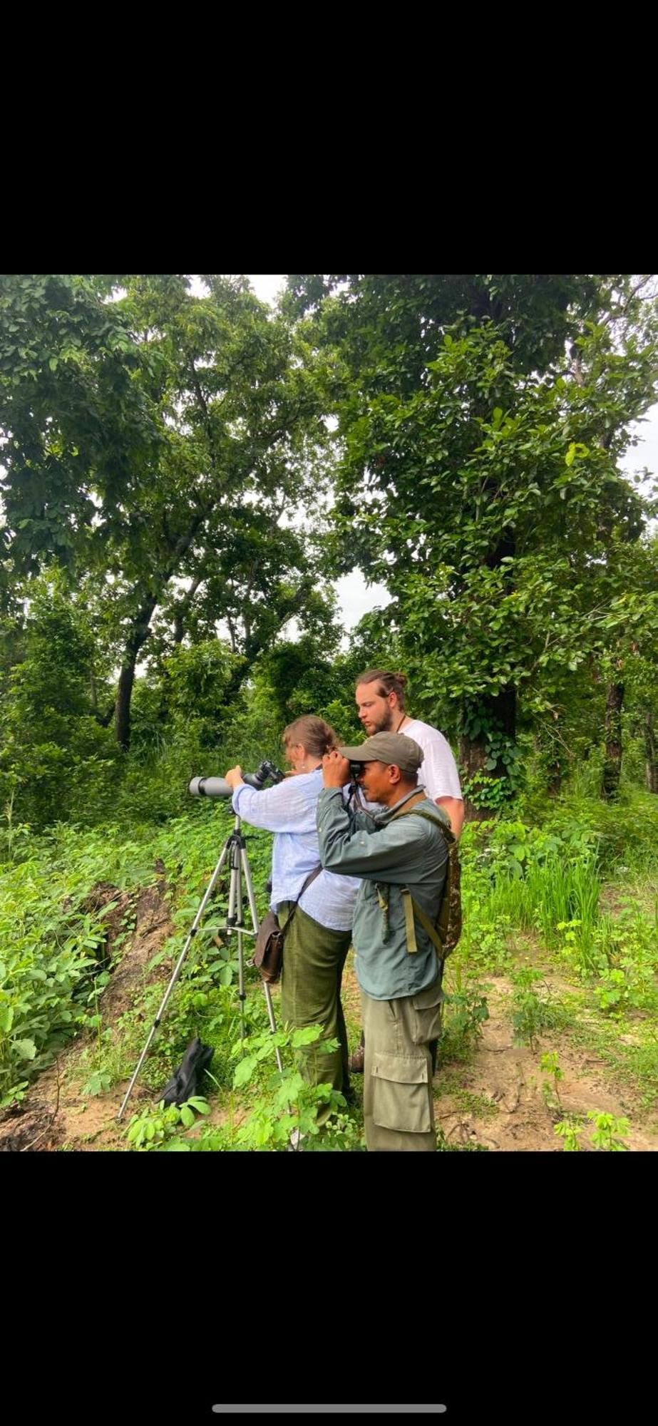 Happy Lemon Tree Lodge Sauraha Luaran gambar