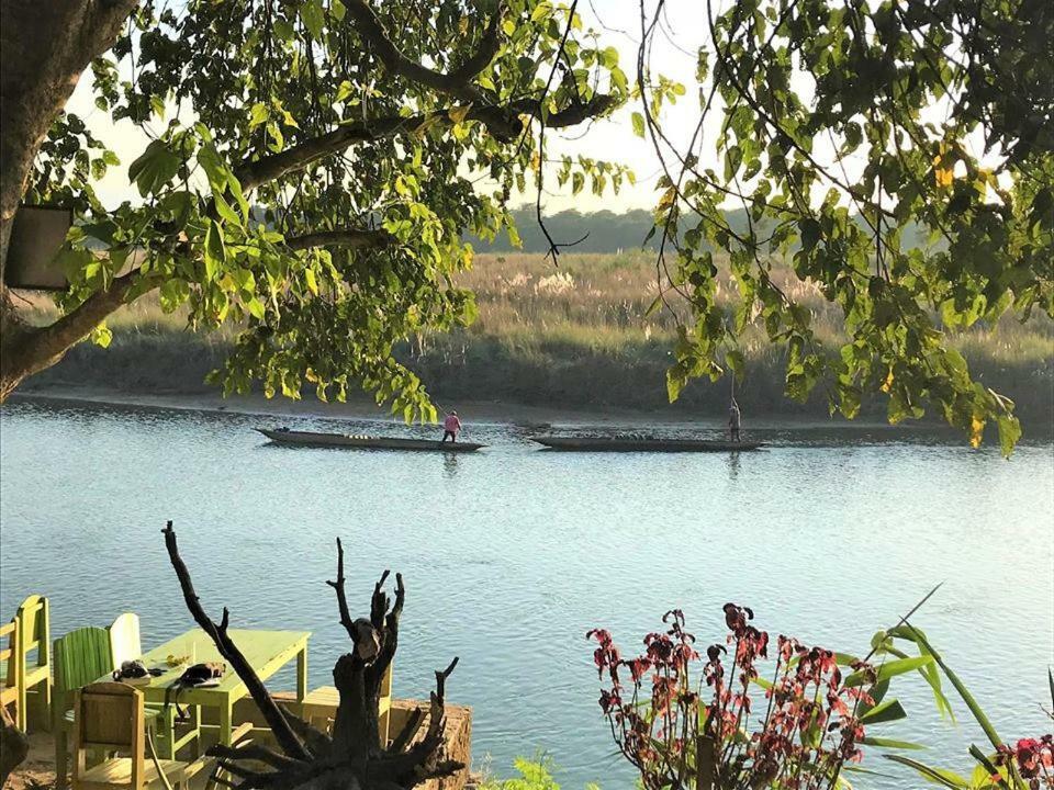 Happy Lemon Tree Lodge Sauraha Luaran gambar